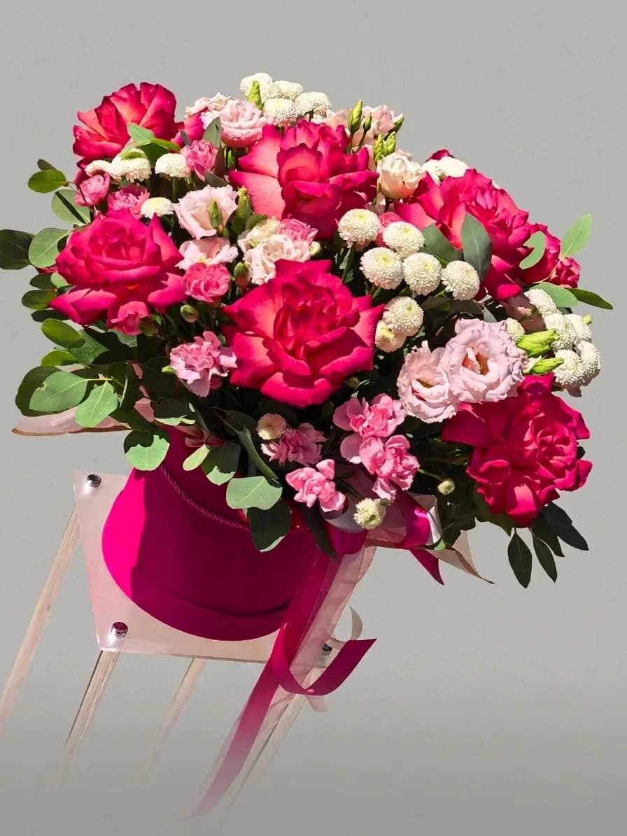 Ogu elegance