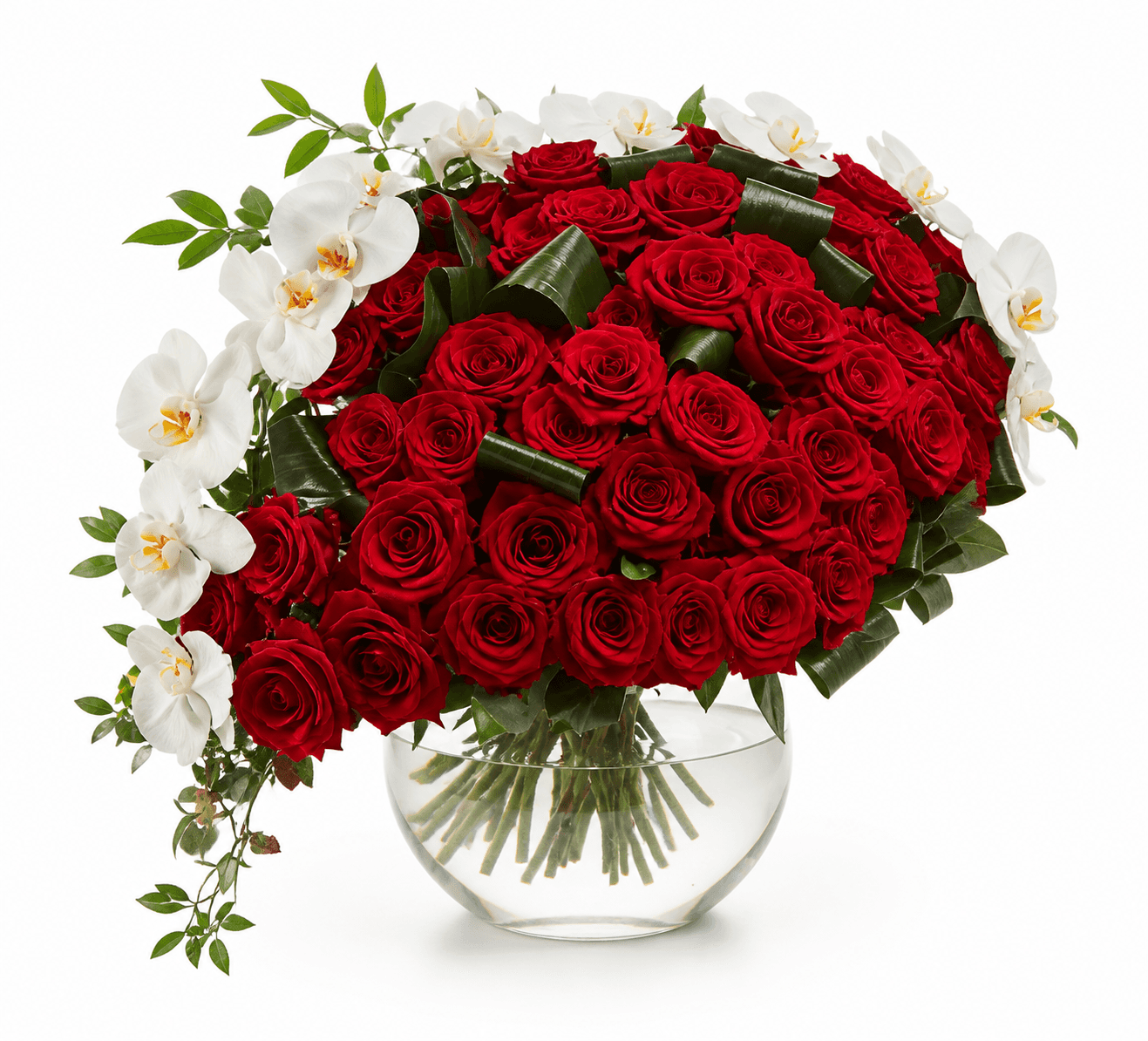 Rozes