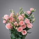 Lizantus pink