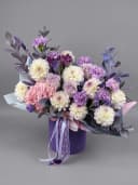Pastel Symphony